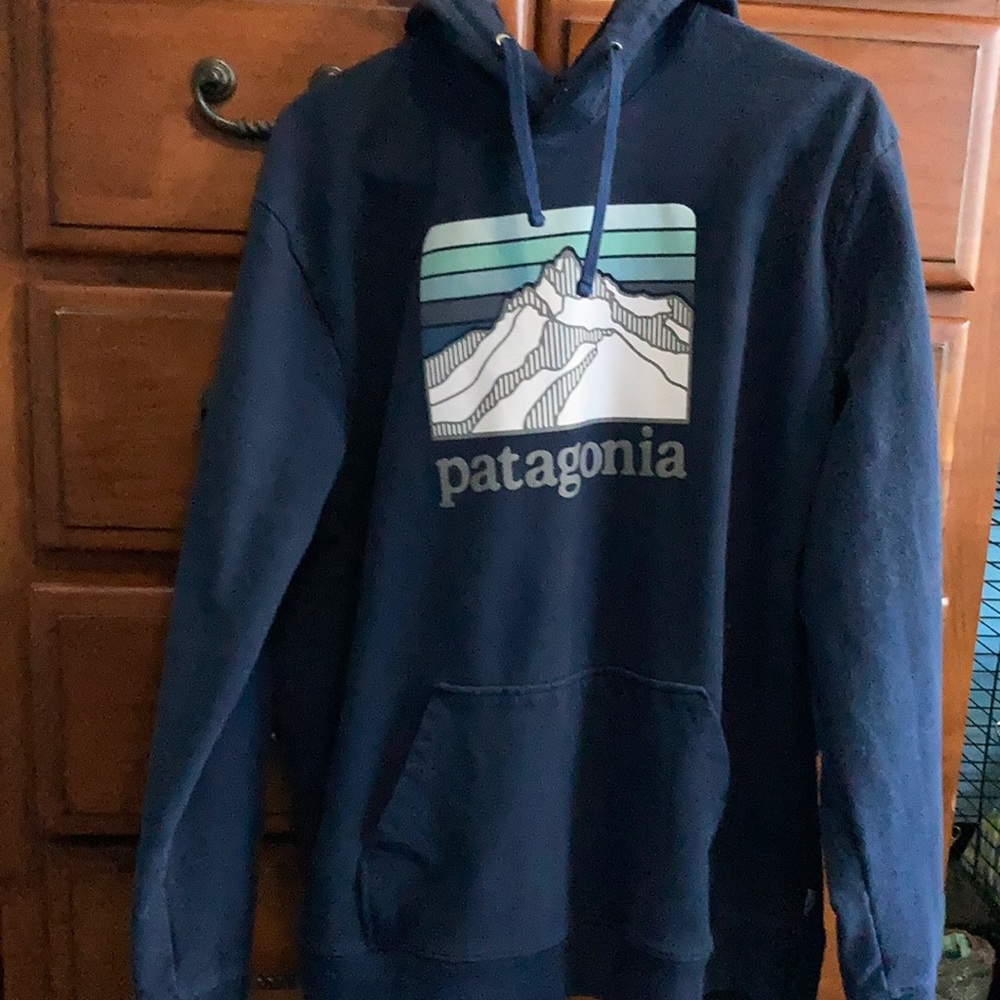 COPY - Patagonia hoodie